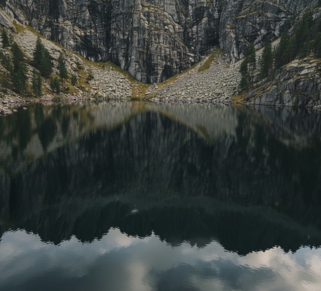 Detalle de las aguas oscuras y los pinares reflejados en la Laguna Negra