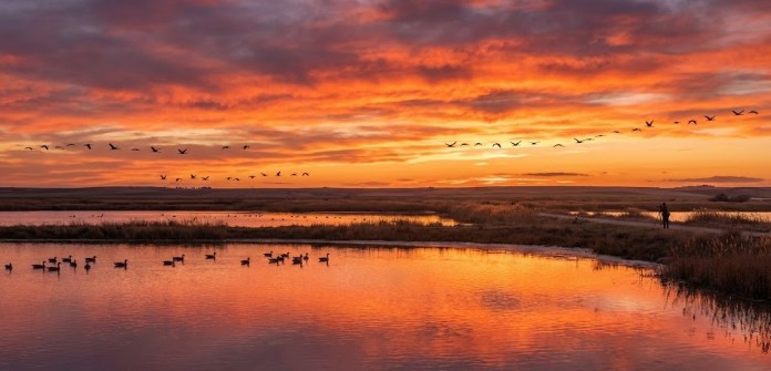 Fotografía de un espectacular atardecer con colores cálidos reflejados en el agua de las Lagunas de Villafáfila, el mejor momento para la fotografía de paisaje.