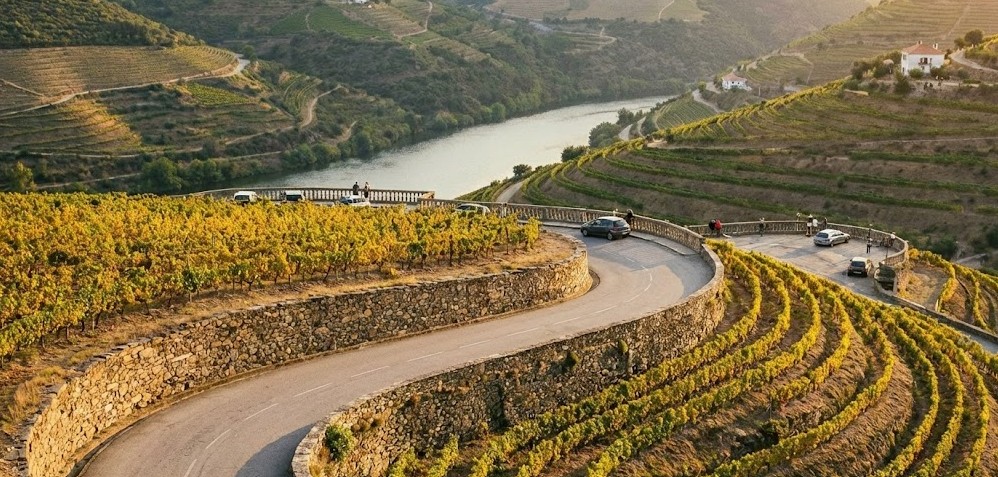 Carretera sinuosa entre viñedos que conduce a los miradores del Douro.