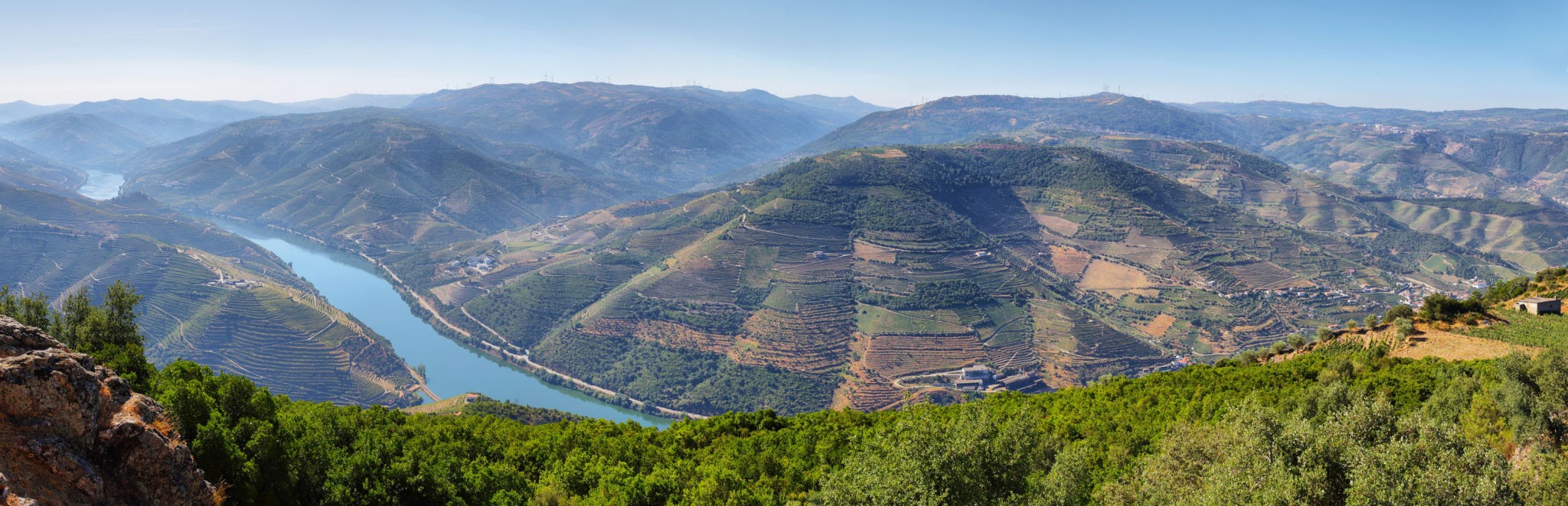 Vista panorámica del río Duero y los viñedos desde el Mirador de São Leonardo de Galafura.