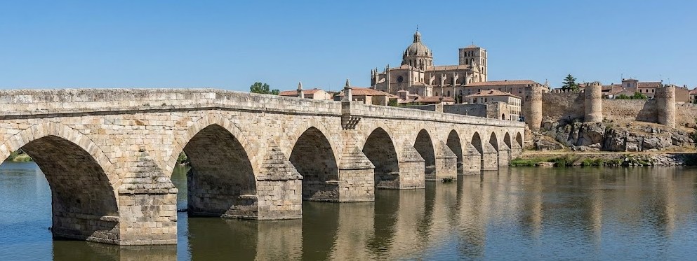 Puente de Piedra de Zamora