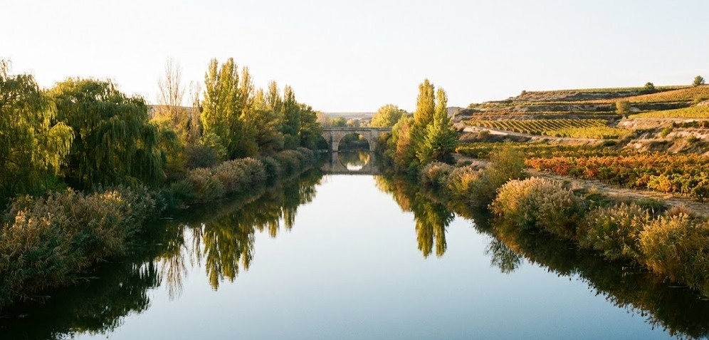 El río Duero fluyendo tranquilo entre la vegetación de ribera y los viñedos.