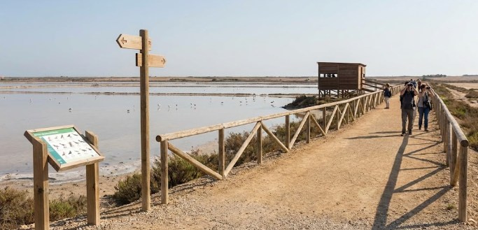 Una ruta de senderismo señalizada y accesible, con vallado de madera, que bordea la Salina Grande para la observación de aves sin molestar a la fauna.